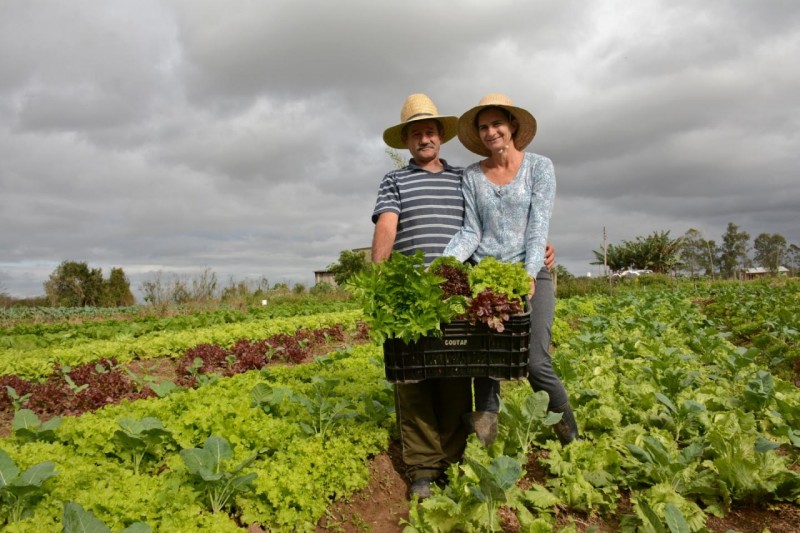 Agricultura Familiar e Cooperativismo - Livros